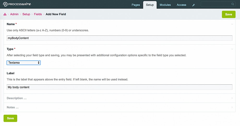 Naming the field and choosing type