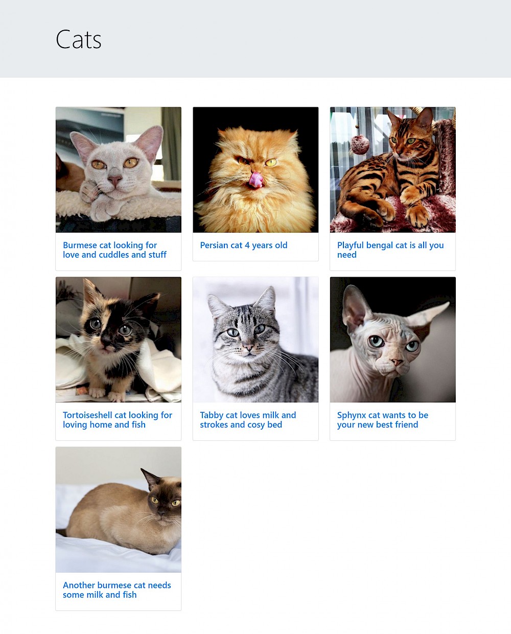 The rendered page at /cats/