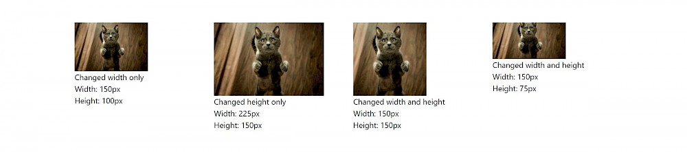 The cat variations
